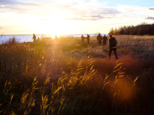 Image shows a group of people walking through reeds and marshland as the sun sets in front of them.